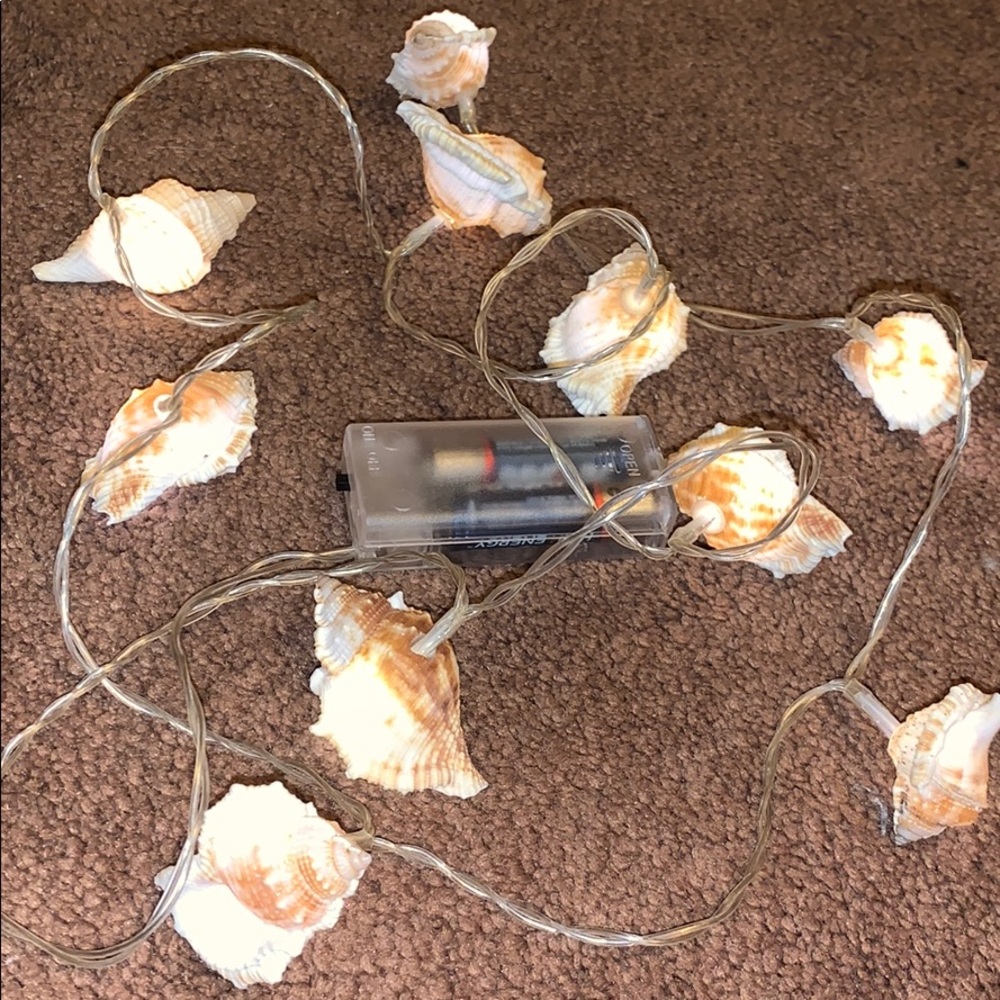 Shell 🐚 String Lights - Picture 2 of 3